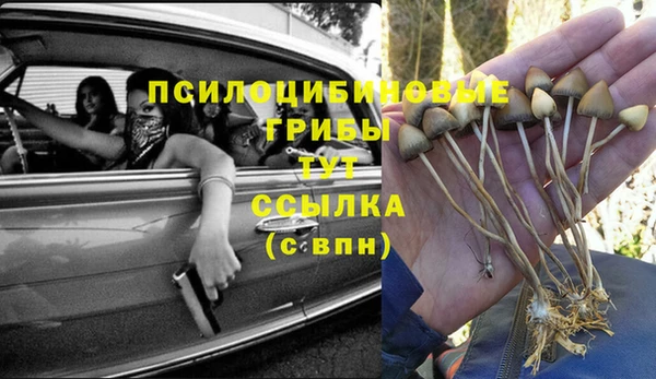 соль ск Бугульма