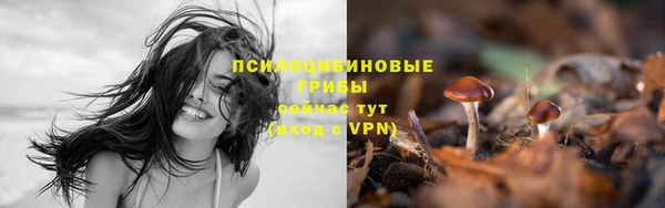 прущая мука Бородино