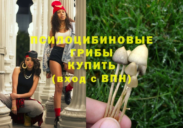 сатива Лихославль