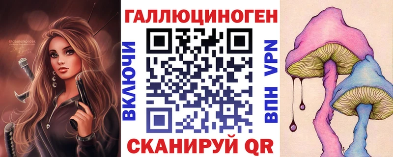 закладка  Вилюйск  Псилоцибиновые грибы Cubensis 
